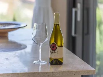 Villa with Private Pool and Garden in Drenje