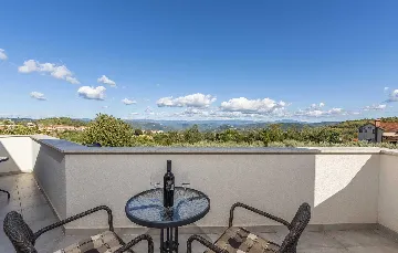 Vižinada Villa with Private Pool for 8 Guests