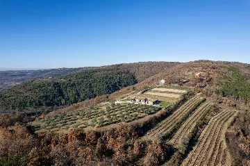 3-Bedroom Villa in Grožnjan for 5 Guests