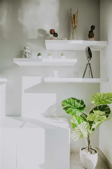 Modern Villa with Private Pool in Novigrad