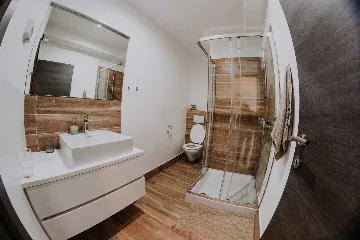 Modern Villa with Private Pool in Novigrad