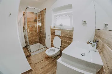 Modern Villa with Private Pool in Novigrad