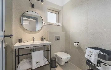 Villa in Rojnići with Private Pool and Sauna