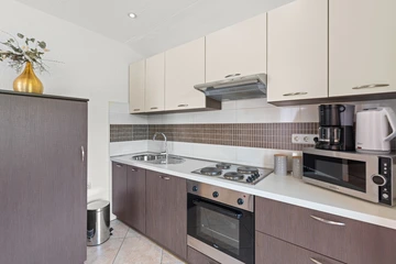 Cozy 1-Bedroom Apartment in Bribir with Terrace