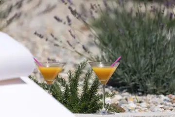 3-Bedroom Villa with Private Pool in Tribalj