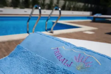 3-Bedroom Villa with Private Pool in Tribalj