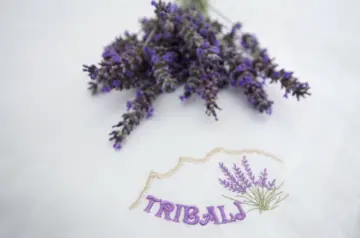 3-Bedroom Villa with Private Pool in Tribalj