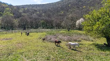 Villa in Novi Vinodolski for up to 6 guests