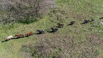 Villa in Novi Vinodolski for up to 6 guests