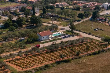 Villa in Vodnjan with Large 52 m² Pool