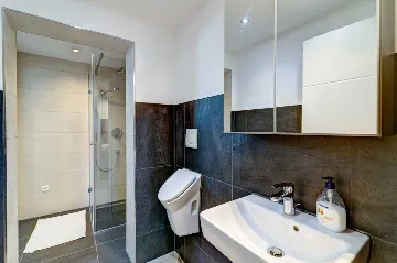 Villa in Vodnjan with Large 52 m² Pool