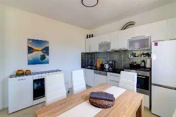 Saltwater Pool Villa in Grizane for up to 10