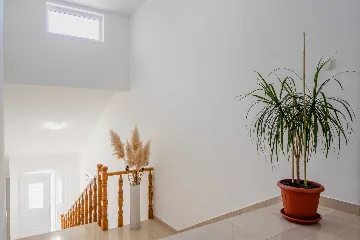 Privlaka 2-Bedroom Apartment for 4-5 Guests