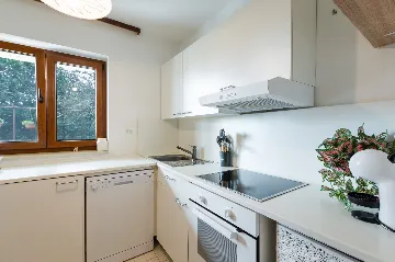 Privlaka Apartment for 4 Guests with Terrace & BBQ