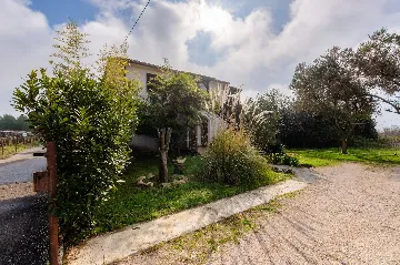 Privlaka Apartment for 4 Guests with Terrace & BBQ