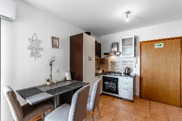 Privlaka Studio Apartment with Sea-View Terrace