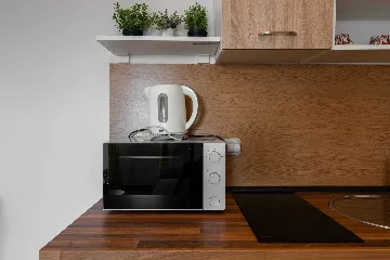 1-Bedroom Apartment in Vir for 2–3 Guests