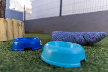 Vir 3-Bedroom Apartment for Up to 6 Guests