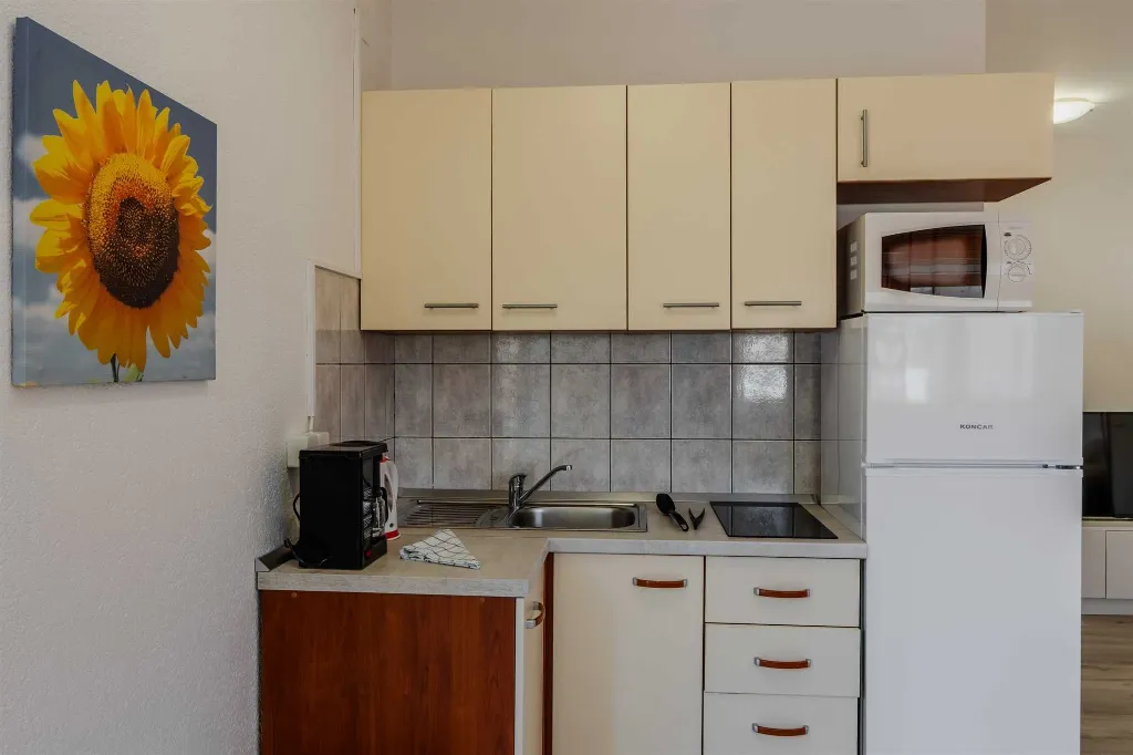 Apartment in Vir for 4 with Balcony
