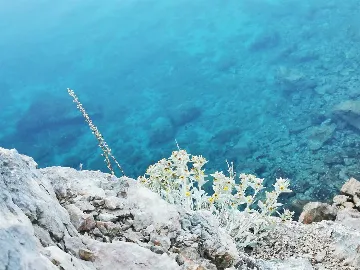 Apartment in Karlobag for up to 4 Guests