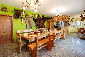 Čeminac Villa for Up to 12 Guests with Pool & Jacuzzi