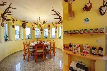 Čeminac Villa for Up to 12 Guests with Pool & Jacuzzi