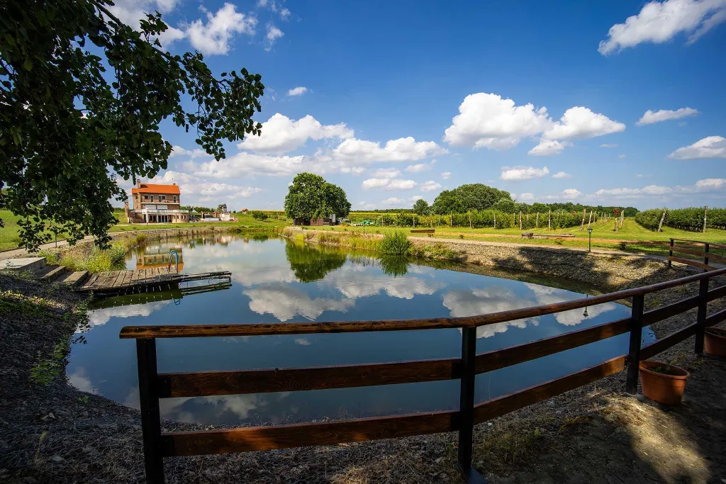 Čeminac Villa for Up to 12 Guests with Pool & Jacuzzi
