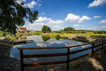 Čeminac Villa for Up to 12 Guests with Pool & Jacuzzi