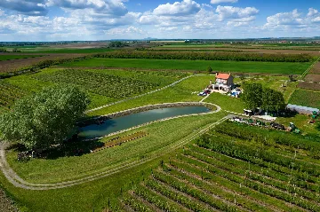 Čeminac Villa for Up to 12 Guests with Pool & Jacuzzi
