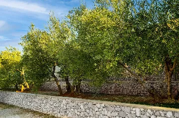 Sea View Villa with Pool in Koromačno