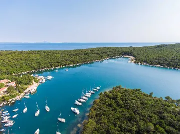 Sea View Villa with Pool in Koromačno