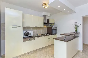 Villa with Pool in Brištane