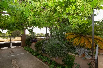 Two-Bedroom Apartment with Shared Pool in Pakoštane