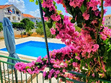 Apartment in Vodice with Shared Outdoor Pool