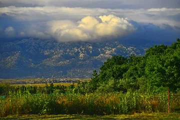 Apartment in Nin (Sabunike) for Up to 5 Guests