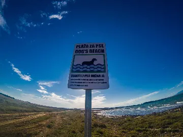 Apartment in Nin (Sabunike) for Up to 5 Guests