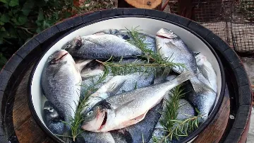 Two-Bedroom Apartment in Kaštel Štafilic with Balcony