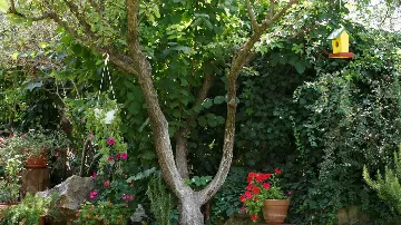 Two-Bedroom Apartment in Kaštel Štafilic with Balcony