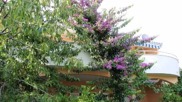 Two-Bedroom Apartment in Kaštel Štafilic with Balcony