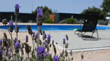 Mobile Home with Sea and Pool View in Pirovac