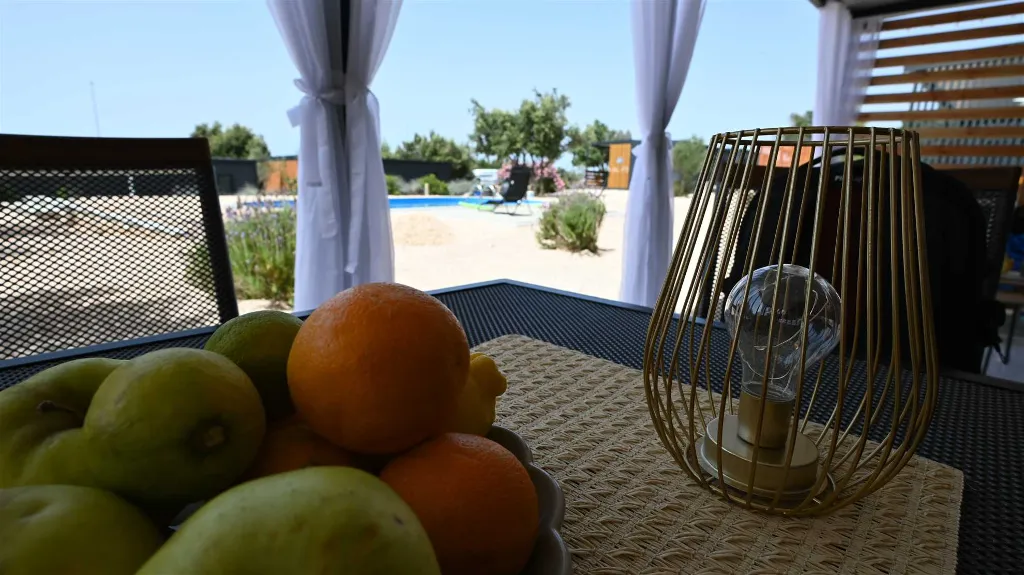 Mobile Home with Sea and Pool View in Pirovac