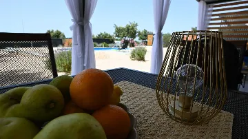 Mobile Home with Sea and Pool View in Pirovac