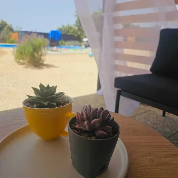 Mobile Home with Sea and Pool View in Pirovac