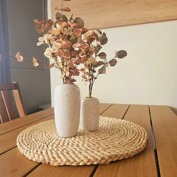 Mobile Home with Sea and Pool View in Pirovac