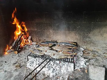 Apartment with Garden Terrace for 2 in Kaštel Štafilic