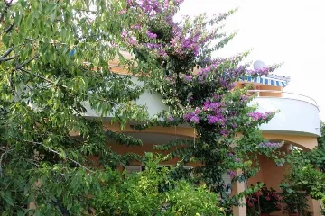 Apartment with Garden Terrace for 2 in Kaštel Štafilic