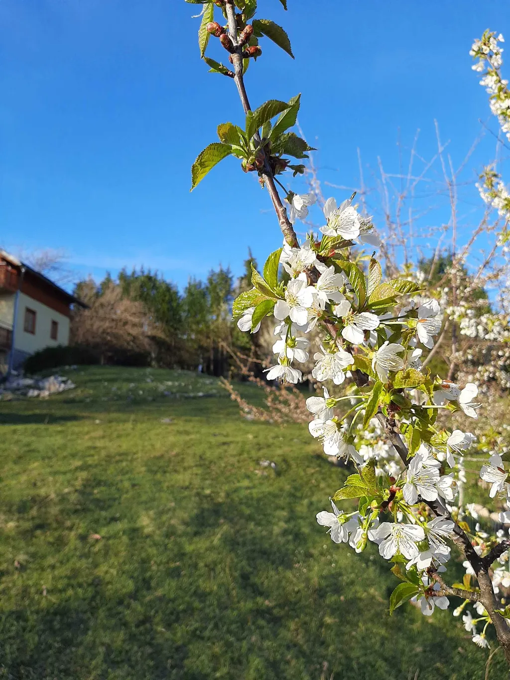 Drežnik Grad Studio Apartment for 2 with Balcony