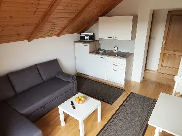 Drežnik Grad Studio Apartment for 2 with Balcony