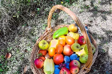 Balcony Room for 2 near Plitvice Lakes, Drežnik Grad
