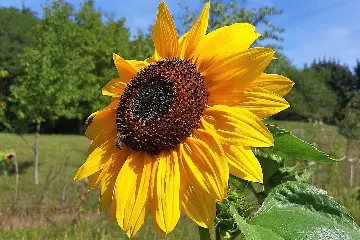 Balcony Room for 2 near Plitvice Lakes, Drežnik Grad
